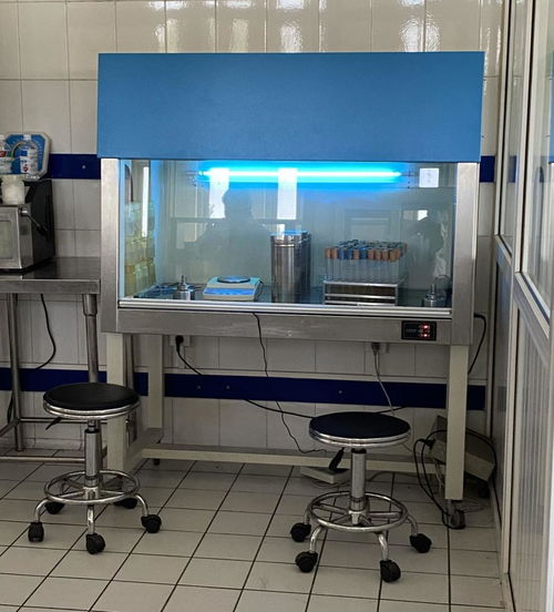 金丰餐饮盒饭配餐工厂 全自动化装备驱动高效餐饮保障服务