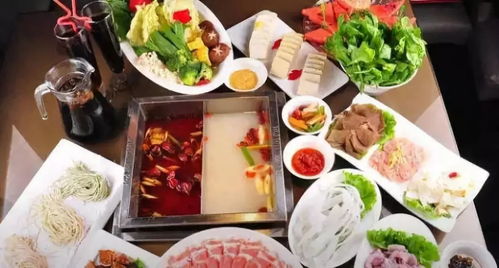 海底捞流动负债激增与现金流隐忧解析